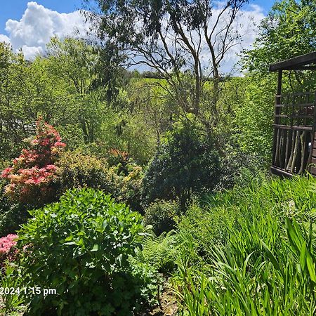 Treetops Lodge, Private Parking & Garden Truro Exterior foto