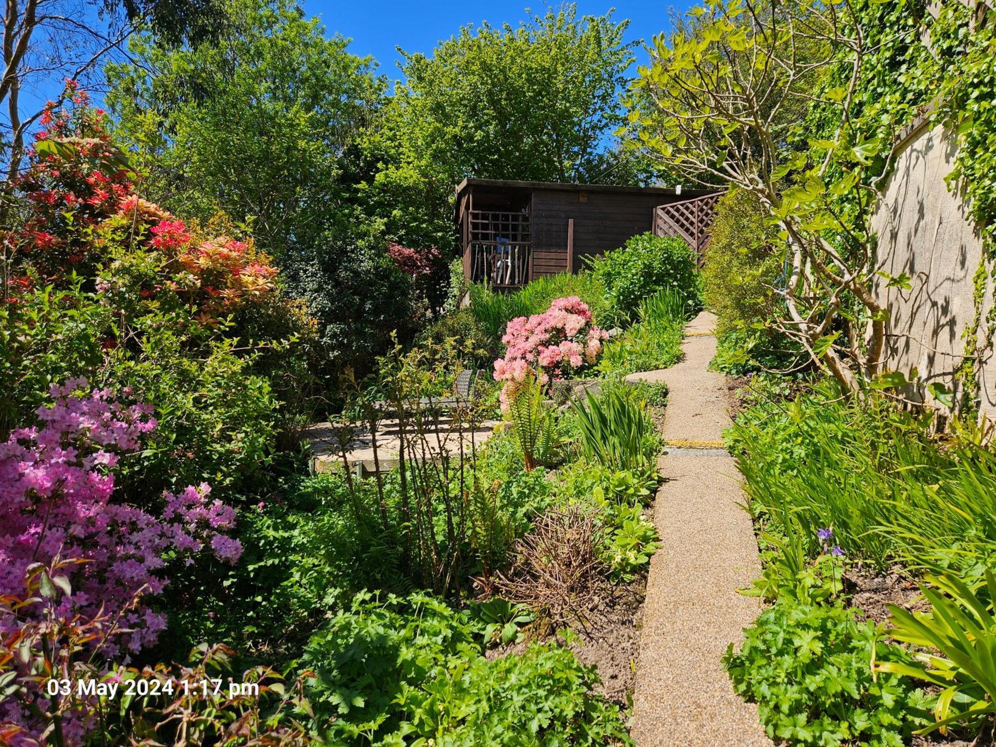 Treetops Lodge, Private Parking & Garden Truro Exterior foto