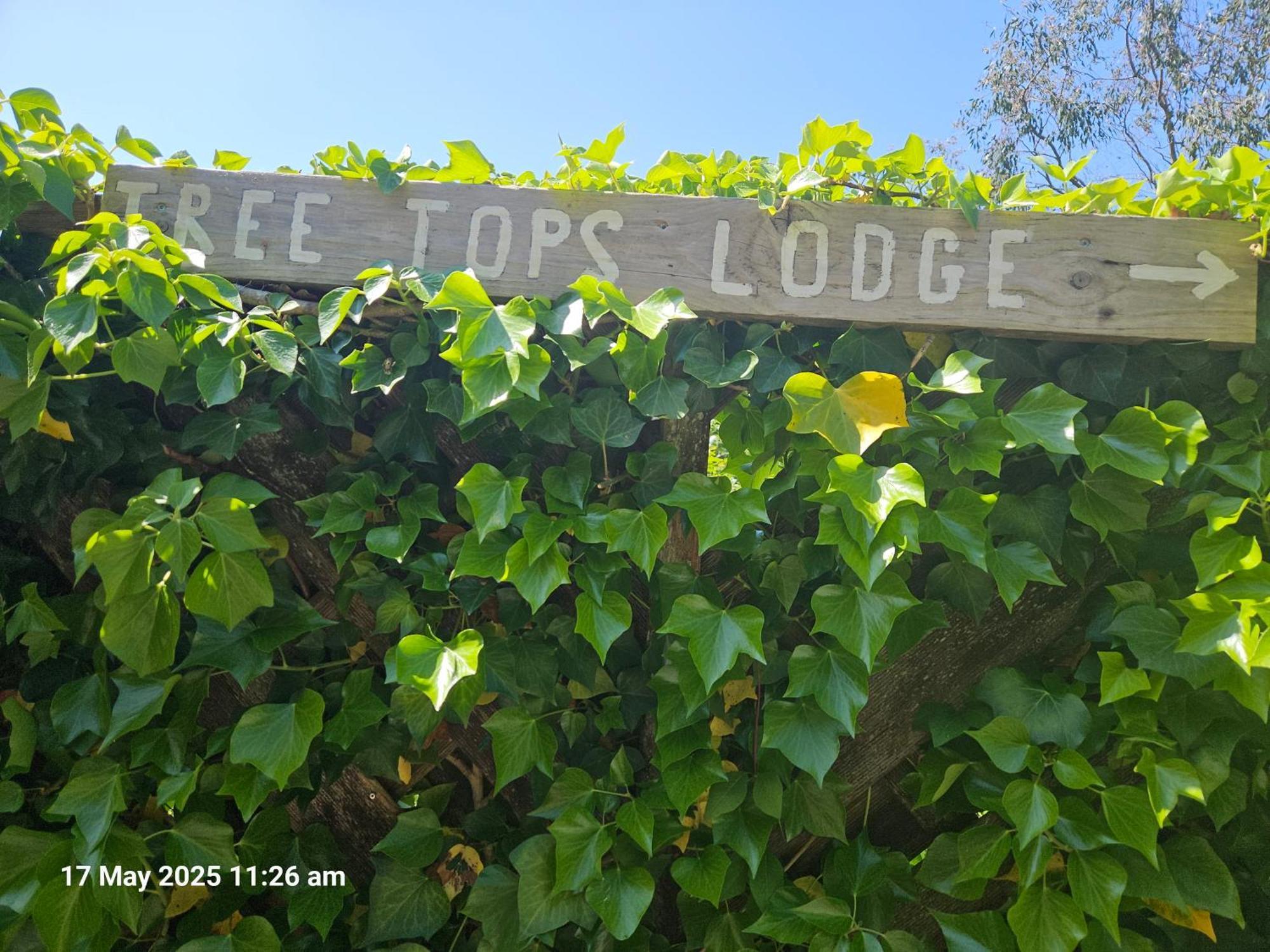 Treetops Lodge, Private Parking & Garden Truro Exterior foto