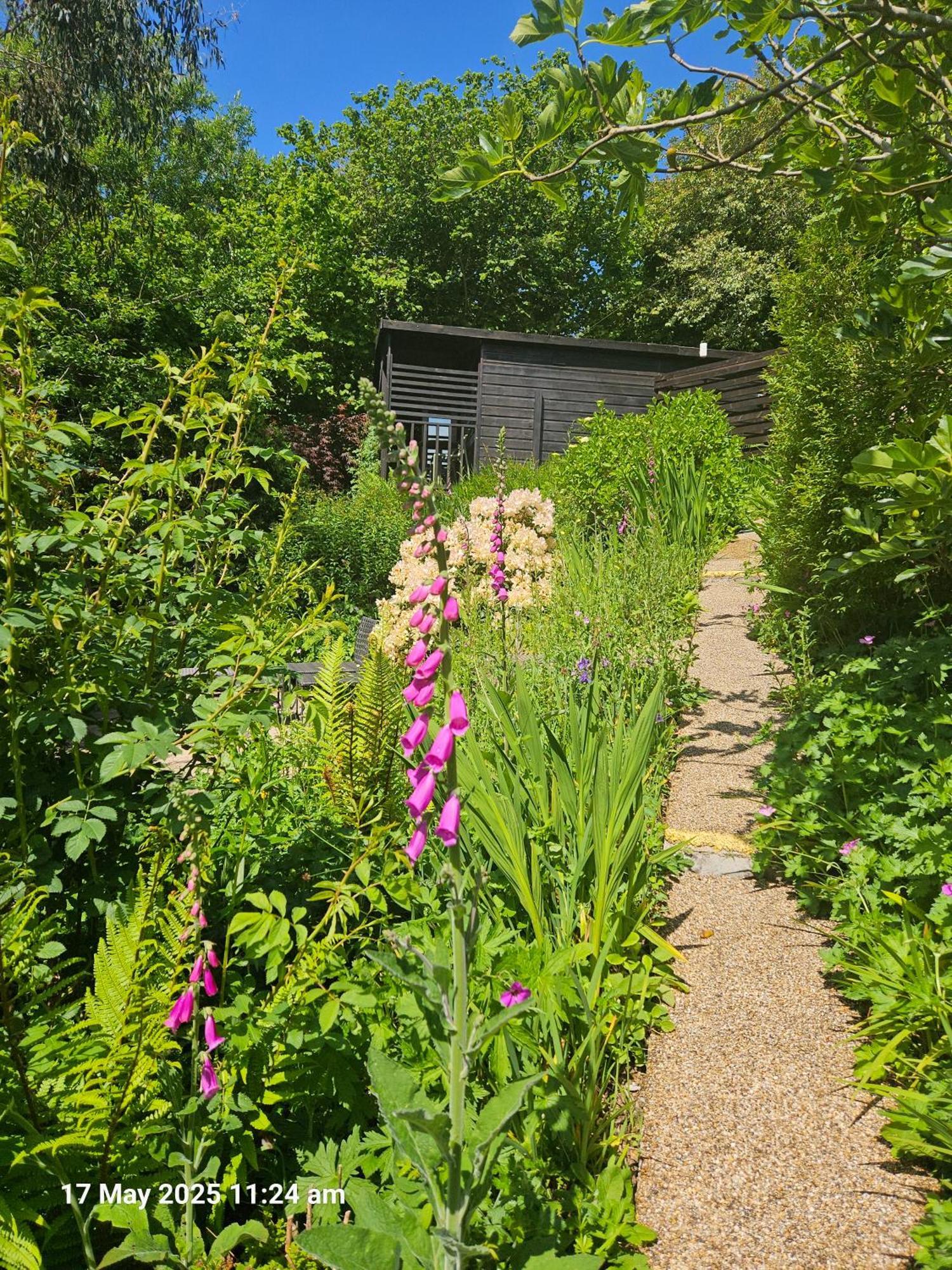 Treetops Lodge, Private Parking & Garden Truro Exterior foto